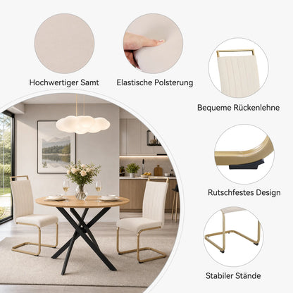 Beige Velvet Cantilever Dining Chairs with Gold Legs(Set of 2)