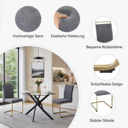 Grey Velvet Cantilever Dining Chairs with Gold Legs(Set of 2)